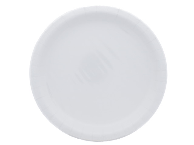 White 9 Inch Dinner Plates 16 Count  