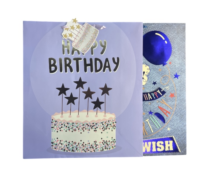 2.49 GIFT BAGS ASSORTED 