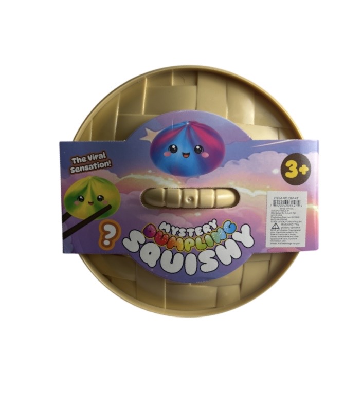 19.99 MYSTERY DUMPLING SQUISHY 