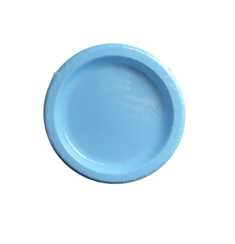 2.99 POWDER BLUE 8.5 INCH DINNER PLATE 20 COUNT