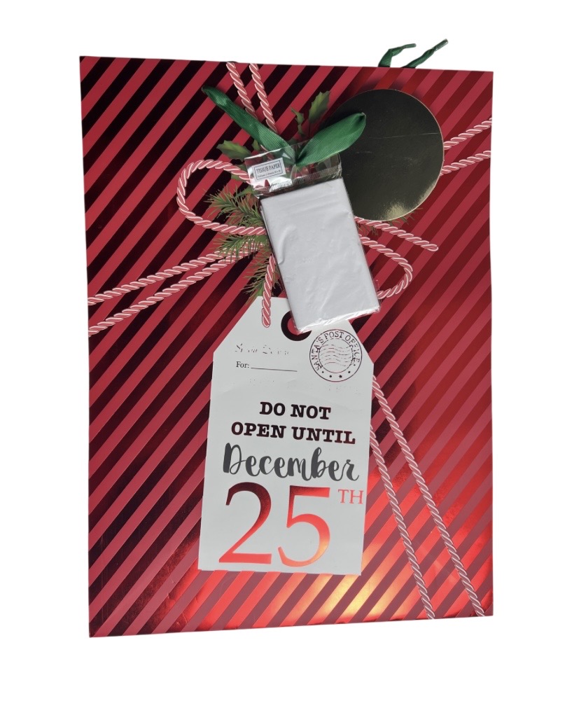 2.49 CHRISTMAS GIFT BAG
