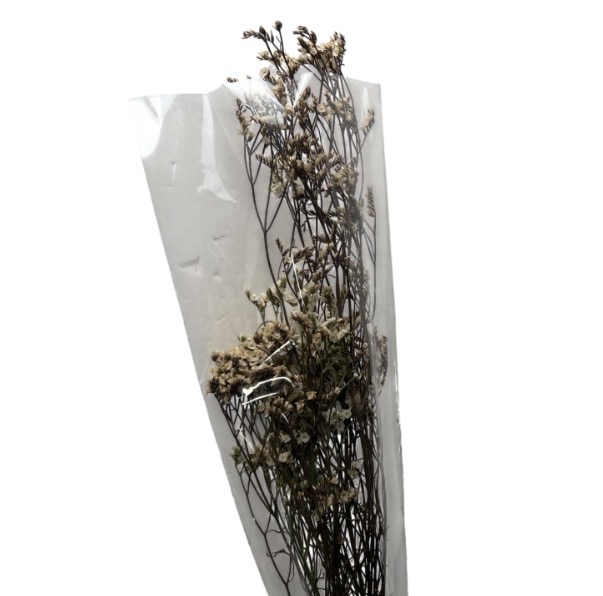 2.49 GERMAN STATICE STEMS 0.7 OZ