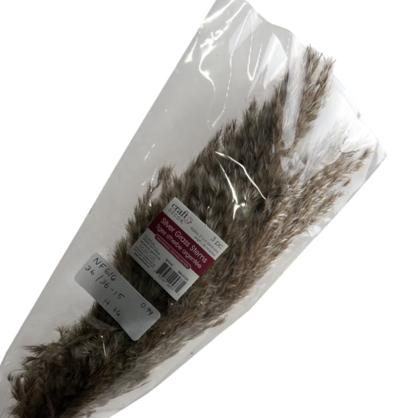 2.49 SILVER GRASS STEMS 3 OZ 