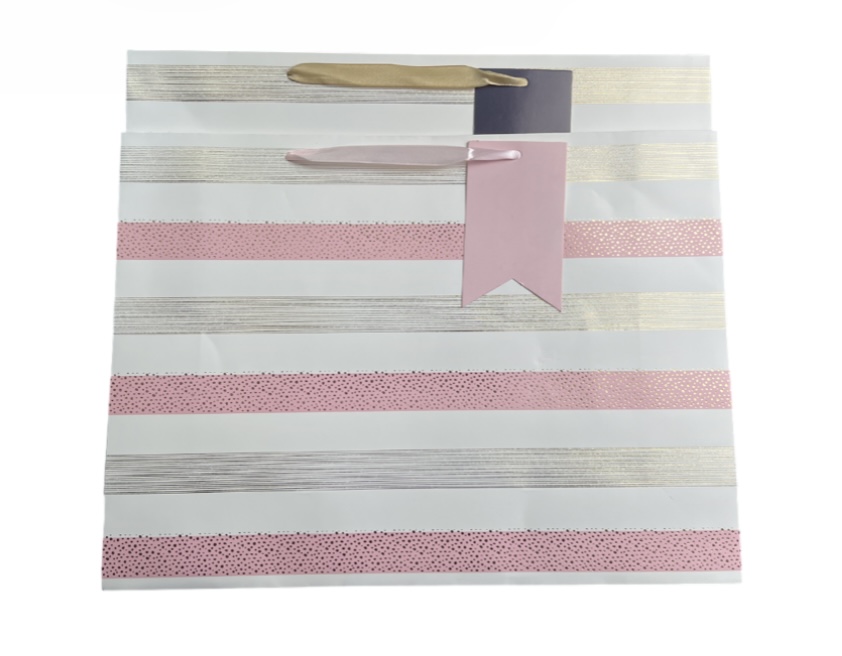 XL EVERYDAY GIFT BAG 