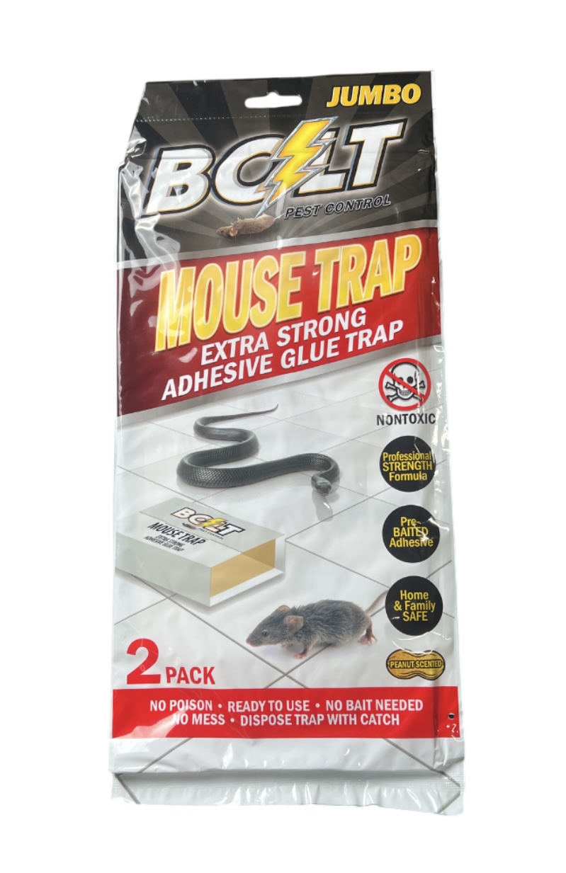 1.99 BOLD MOUSE TRAP 2 PACK 