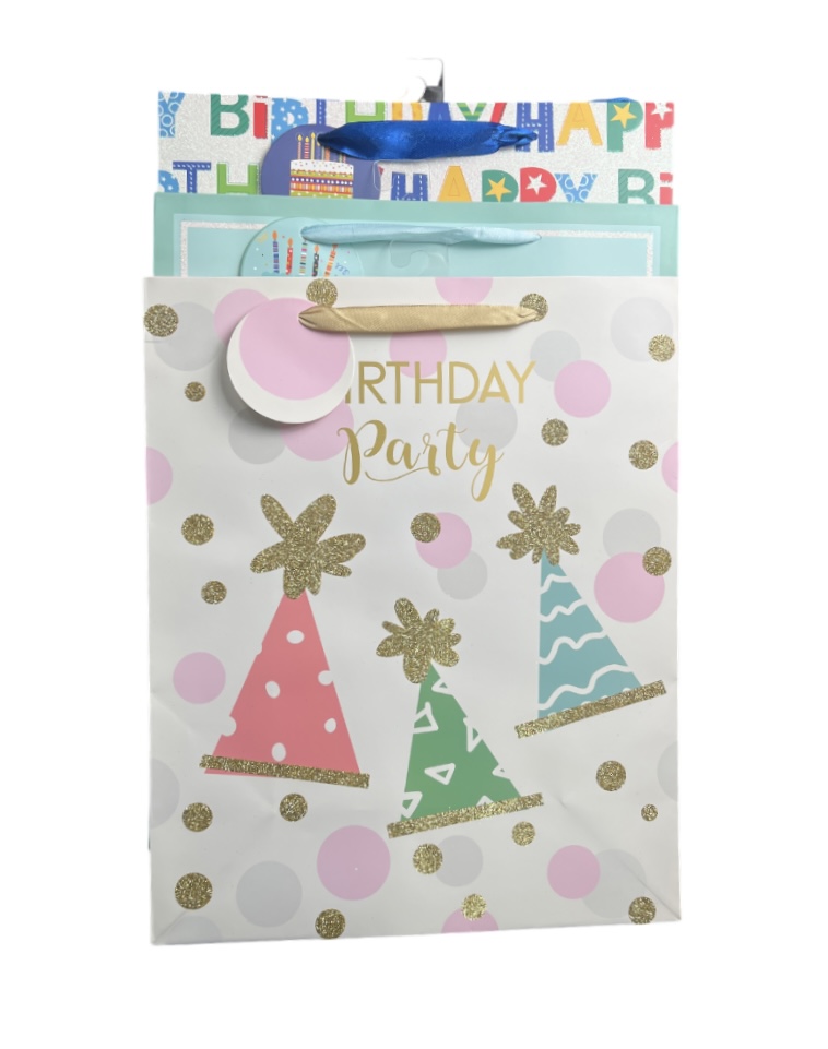 XL BIRTHDAY PARTY GIFT BAG 