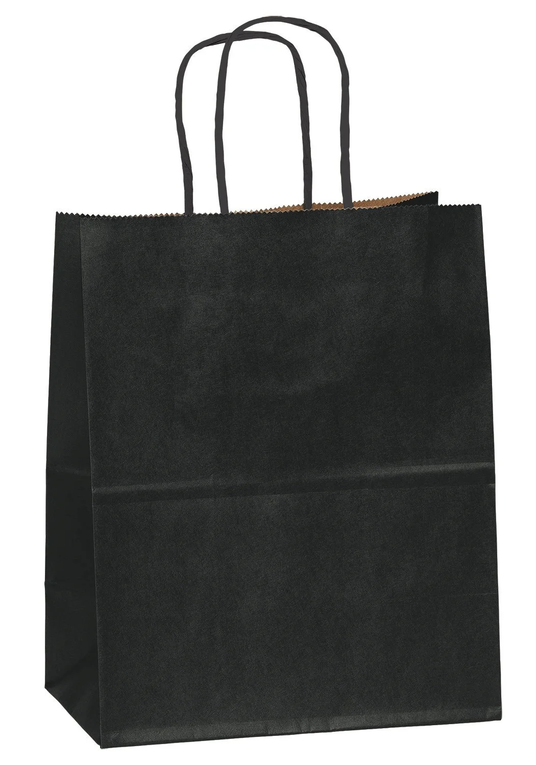 BLACK CRAFT BAG 2 COUNT 