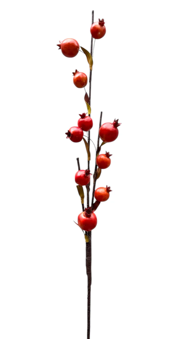 6.99 POMEGRANATE BRANCH