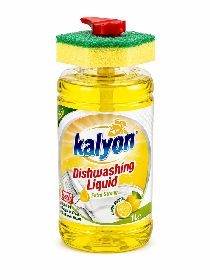 4.49 1L DISH SOAP W/SPONGE-LEMON