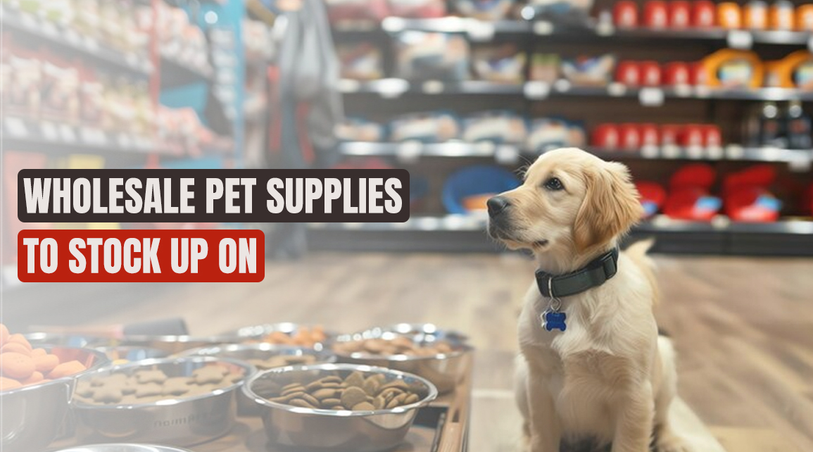 Top Wholesale Pet Supplies to Stock Up On - Cover Image