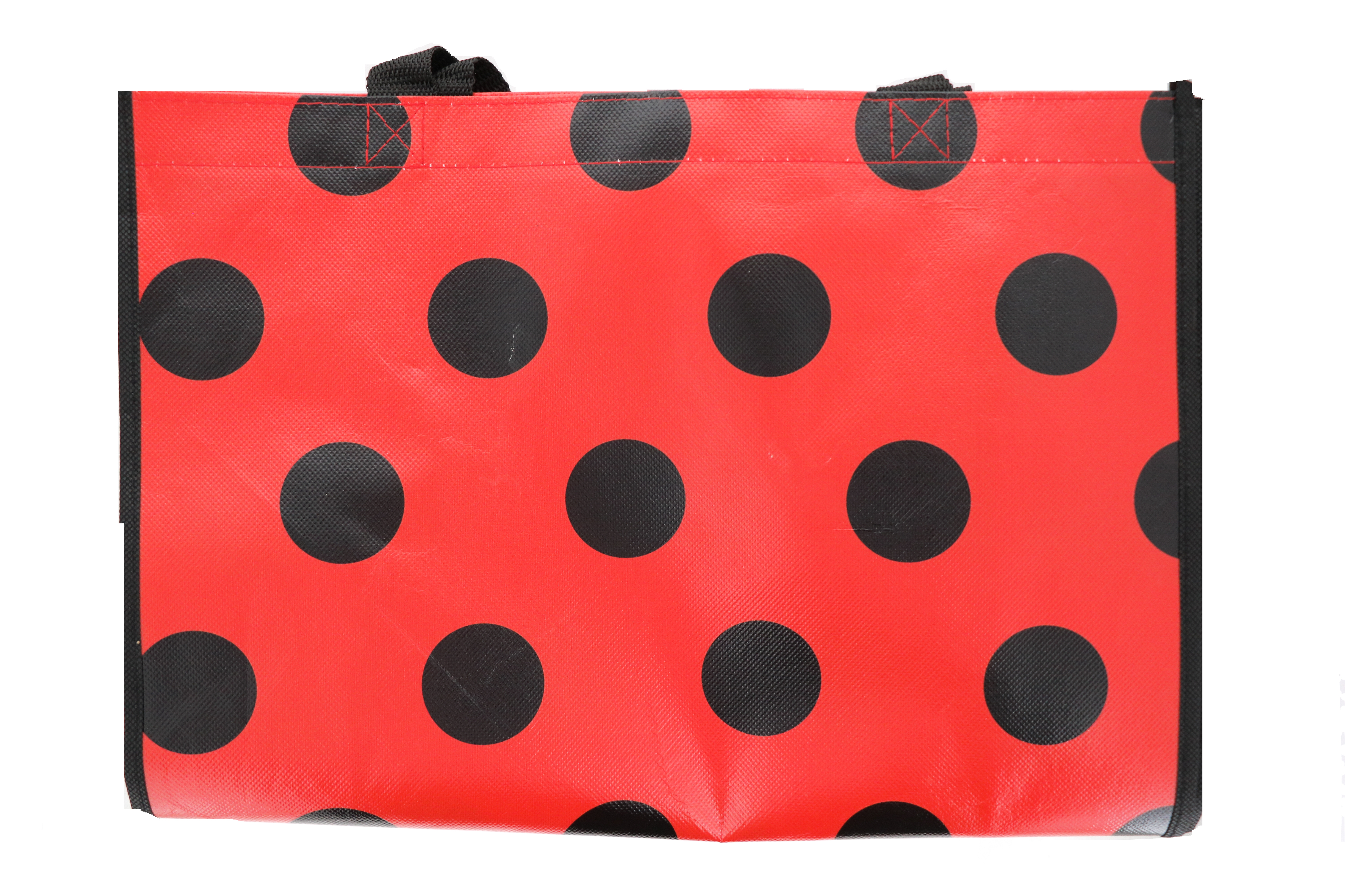 MULTI PURPOSE SHOPPING BAG 